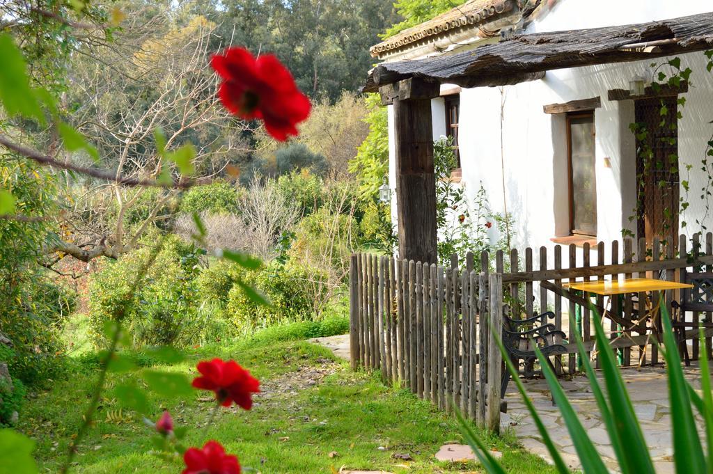 Casa Rural Ahoraya El Colmenar Eksteriør bilde